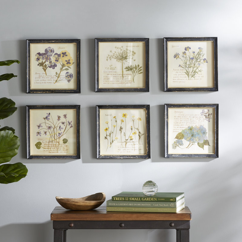 Birch Lane™ Pressed Flowers Framed Graphic Art Print & Reviews Wayfair